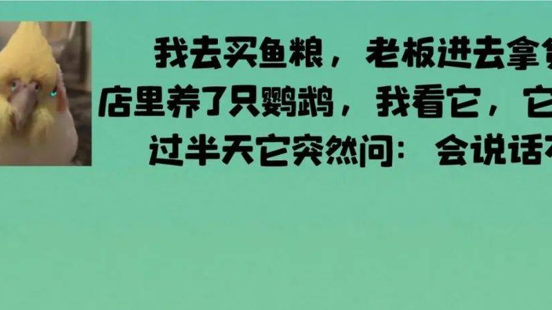 调味品代加工贴牌：揭秘从原料到成品的流程步骤